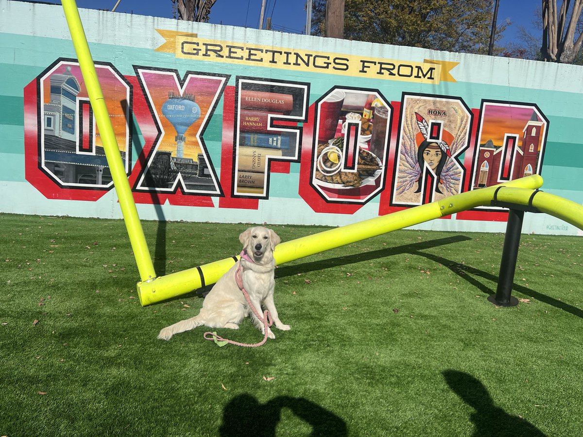 Lane_Kiffin's tweet photo. https://t.co/gh1U32sm2L