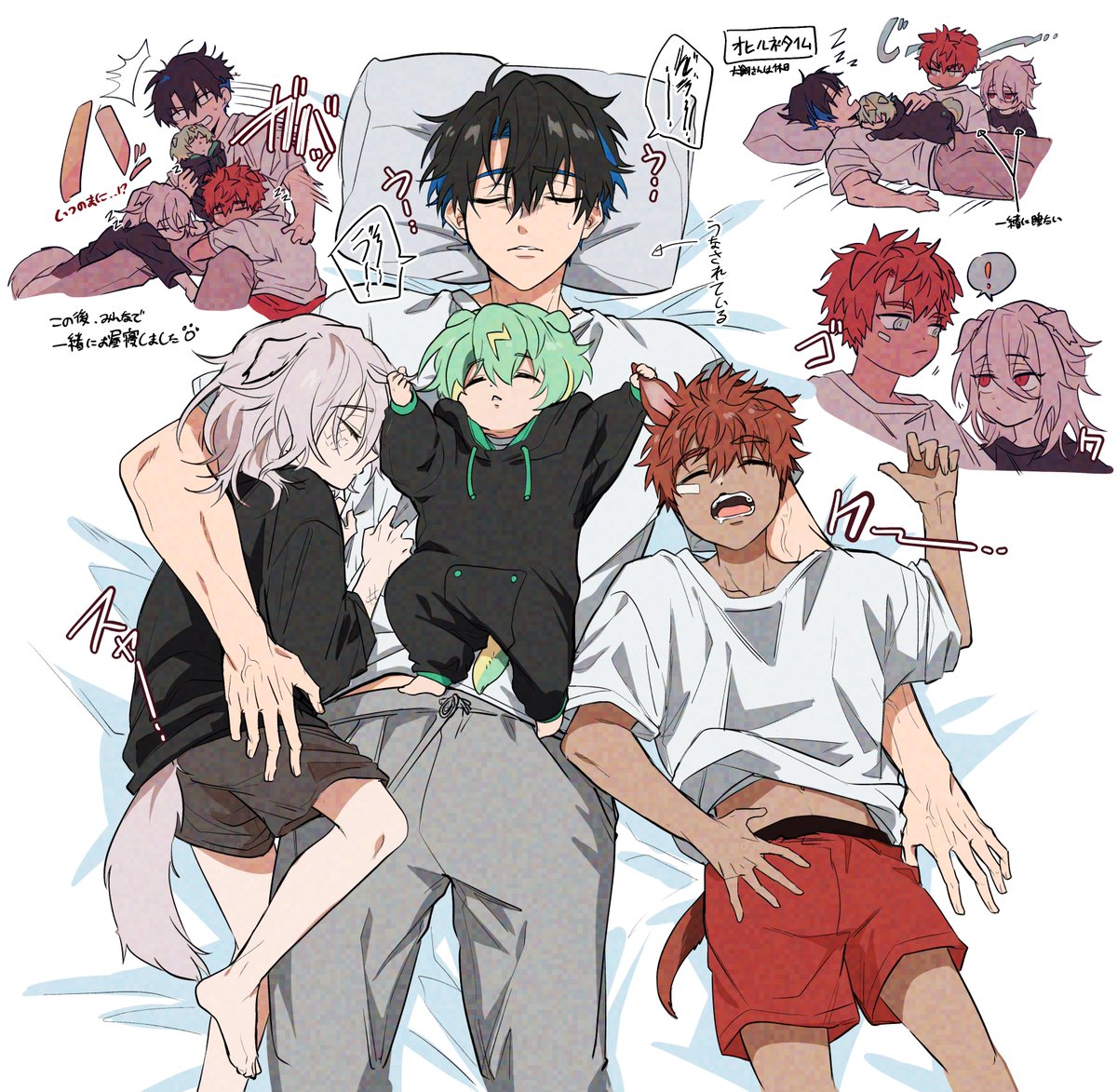 お昼寝タイム🐶