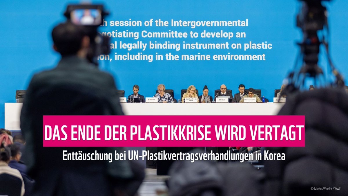 Die - eigentlich - finale Runde der Verhandlungen des #PlasticsTreaty bleibt ergebnislos. Auch wenn sich eine große Mehrheit der Länder für einen wirkungsvollen Vertrag ausspricht, hat eine kleine Gruppe an Ölstaaten den Prozess blockiert. Nun soll es in die Verlängerung gehen.