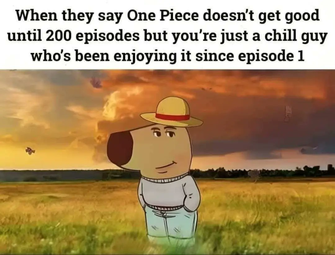 DailyOPMemes's tweet image. Anime : One Piece