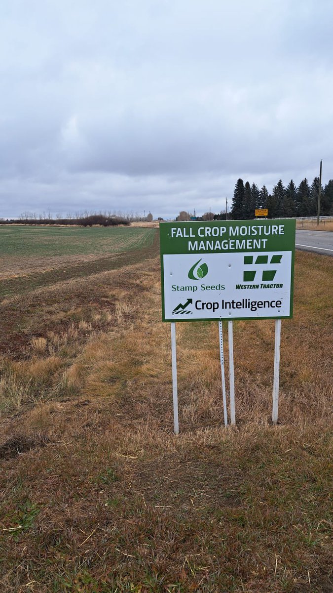 Soil temp at 2” vs air temp in hybrid fall rye demo plots.
We have some snow cover so it seems to be insulating.
Next warm stretch I think snow may melt in.
Field pic from a few weeks ago.