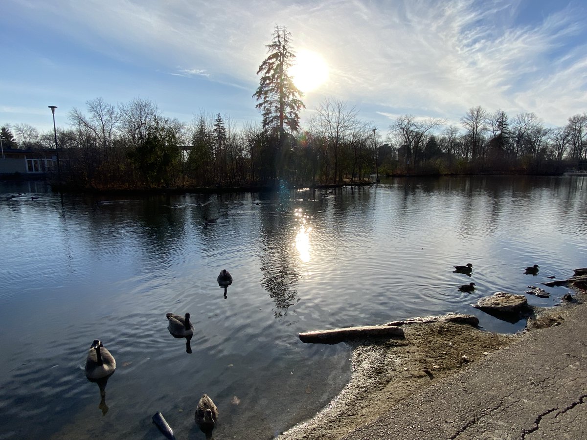 Despite a cold end to the month, November still tied 16th warmest in Winnipeg since 1872.

The big stories were the rainfall and the late first snowfalls. The Airport had its 2nd rainiest November with ~61 mm of rain. Higher amounts as high as 70-75 mm fell in SE parts of city.