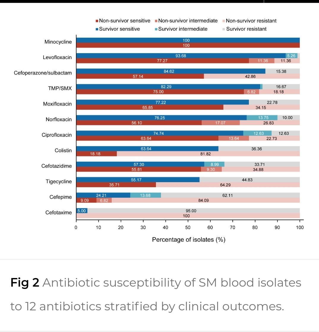 Antibiotic Steward Bassam Ghanem 🅱️C🆔🅿️🌟 tweet media