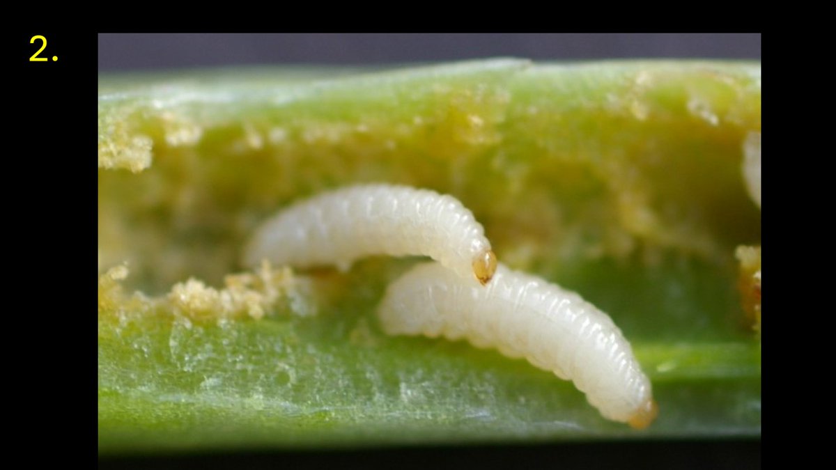 Simon Goodger tweet media