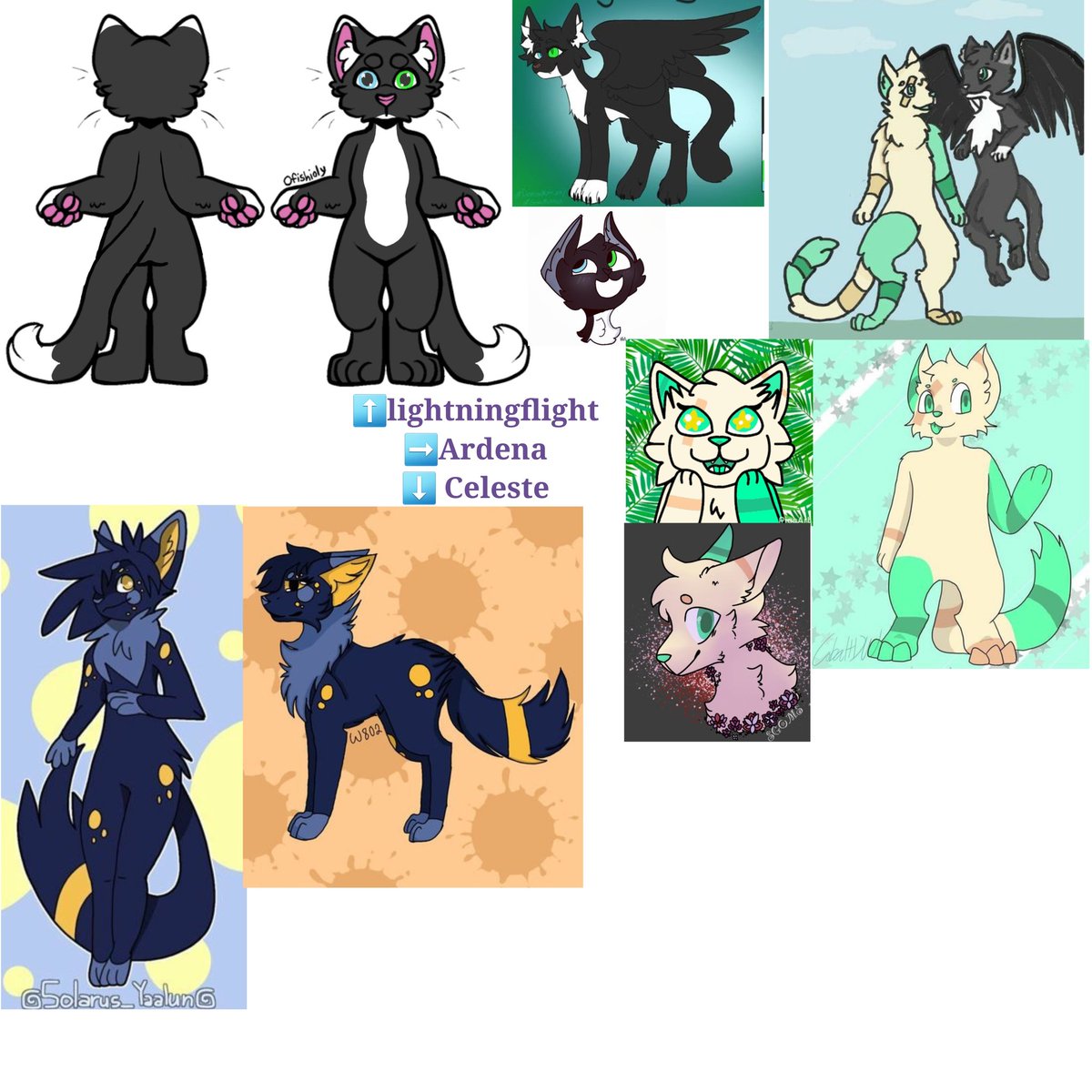 CatChaotic's tweet photo. @pypl349 Good luck!! Do literaly whatever with any of my little gals 😁 anime version? fish? robot? let chaos occur https://t.co/mlEbhpArYf