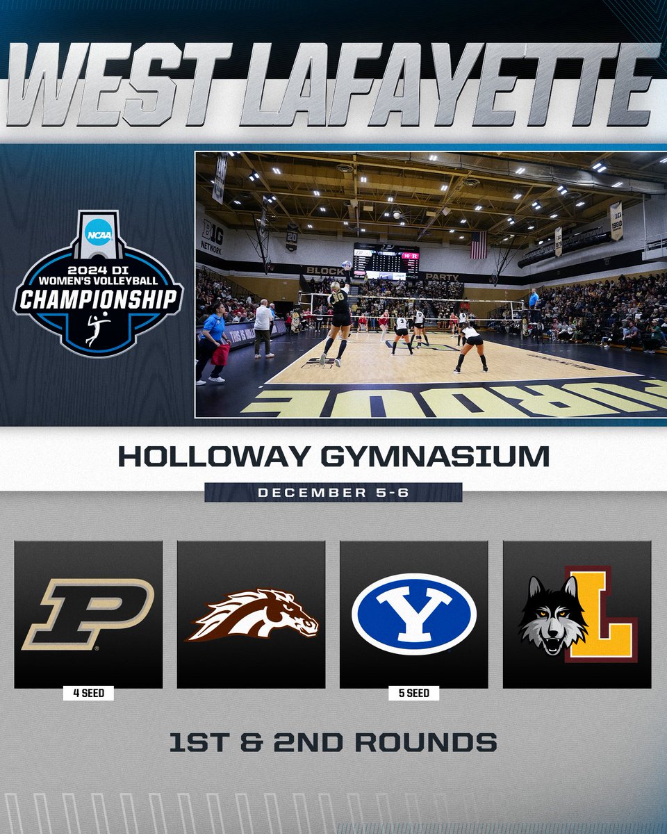 NCAA Women's Volleyball tweet media