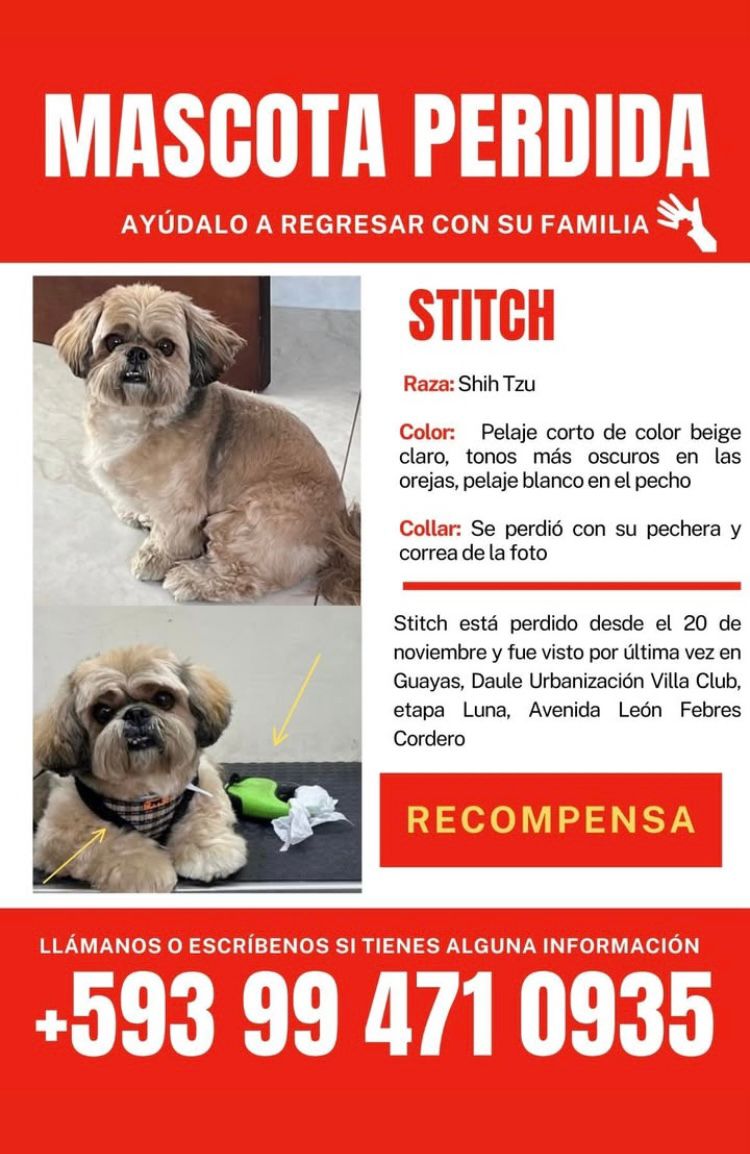 Cupsfire_gye's tweet photo. #MascotaPerdida: Ayúdanos viralizando la imagen para que puedan encontrar a Stitch. https://t.co/eJ8cEMnRzz