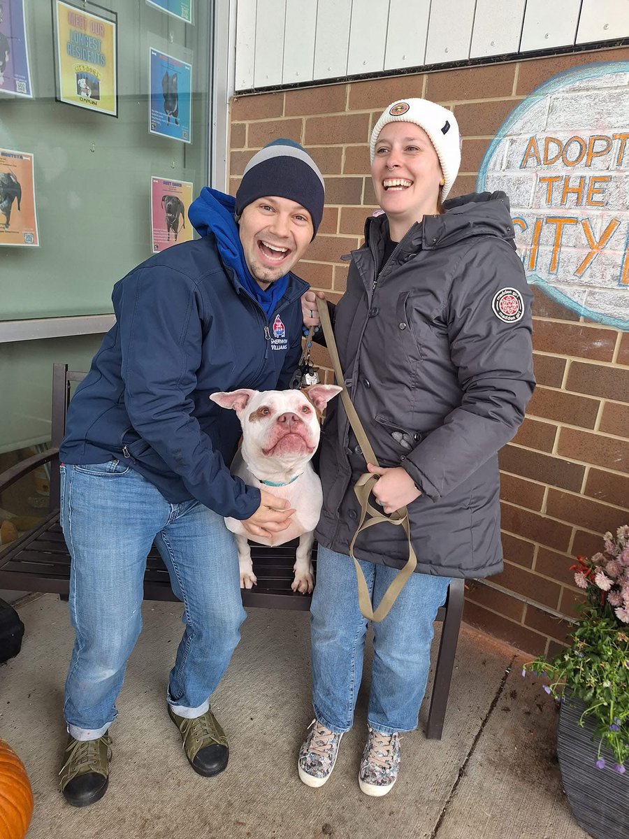 City Dogs Cleveland tweet media