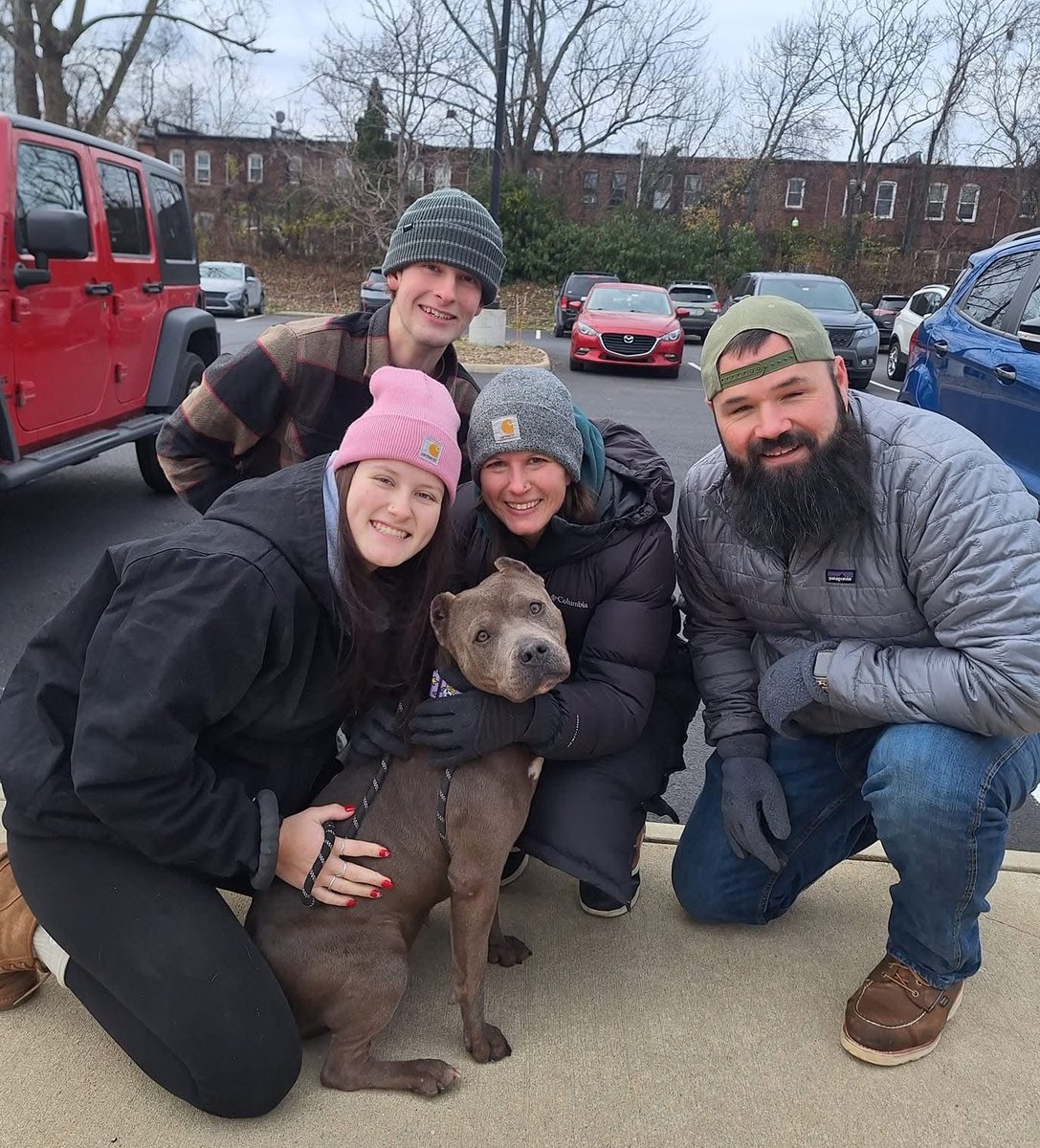 City Dogs Cleveland tweet media