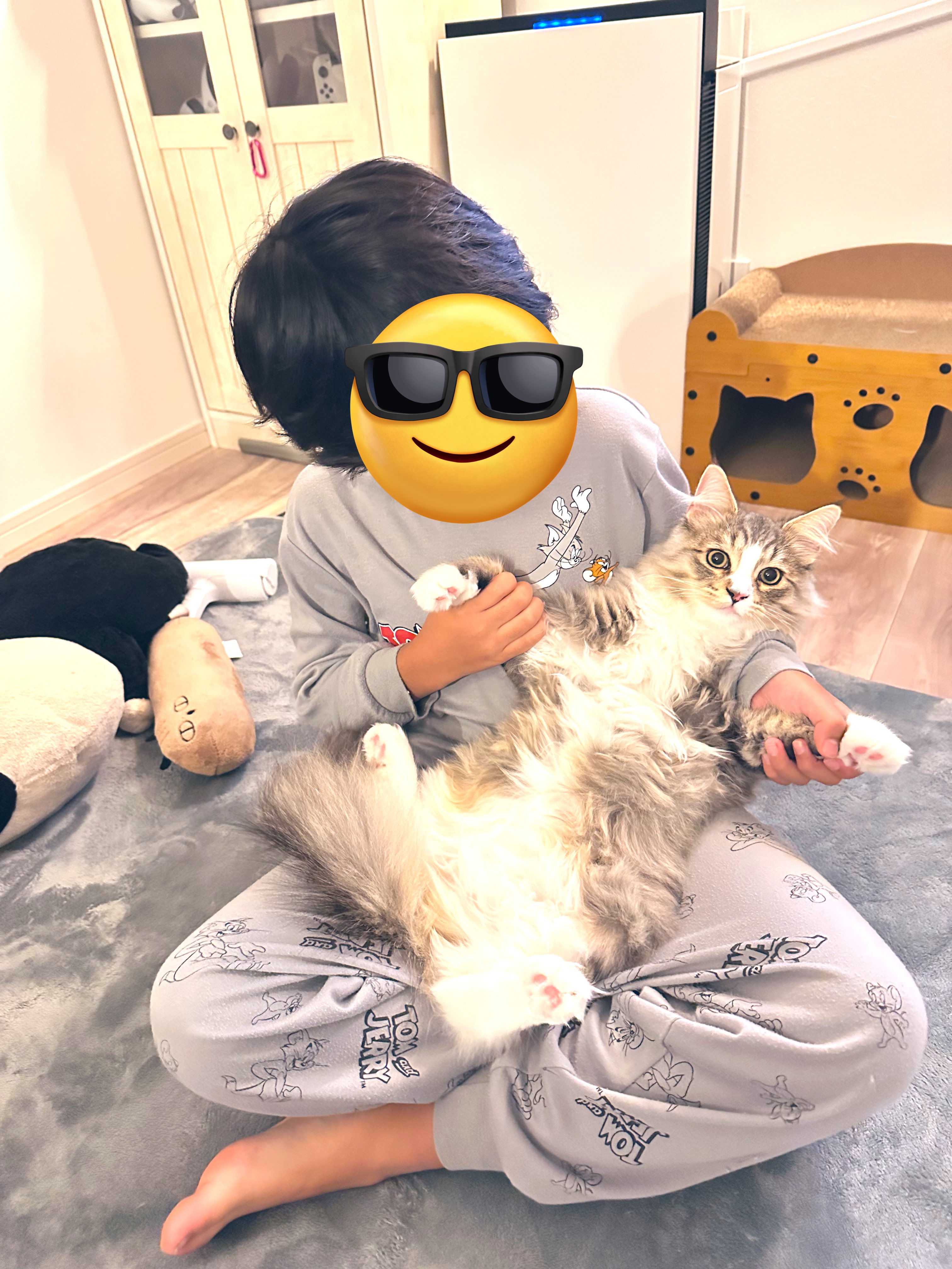 ⭐︎雪丸⭐︎のびねこ大阪【しらんけどー】⑤ 大阪 しらんけどー | ご飯メモ
