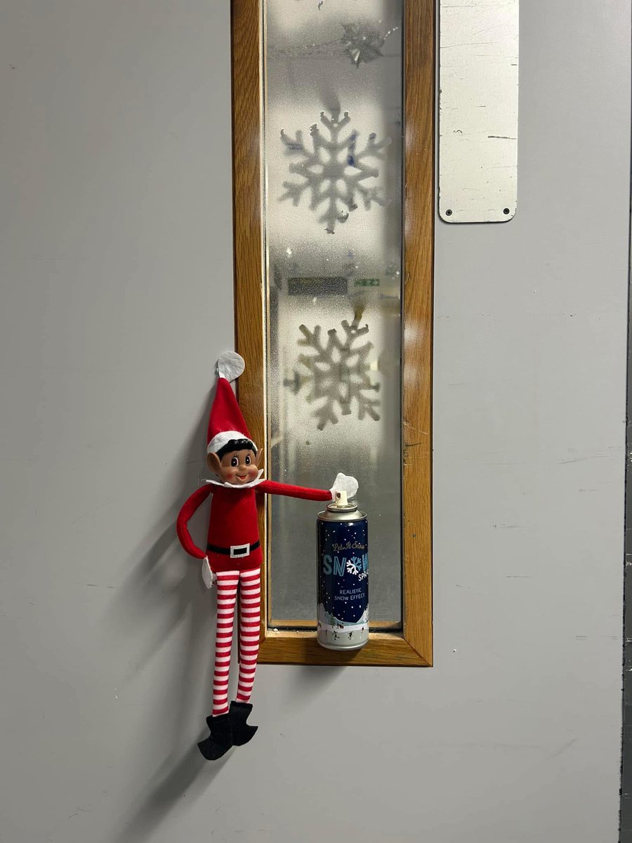 ARTY the Elf is back &amp; up to snow good! ❄️