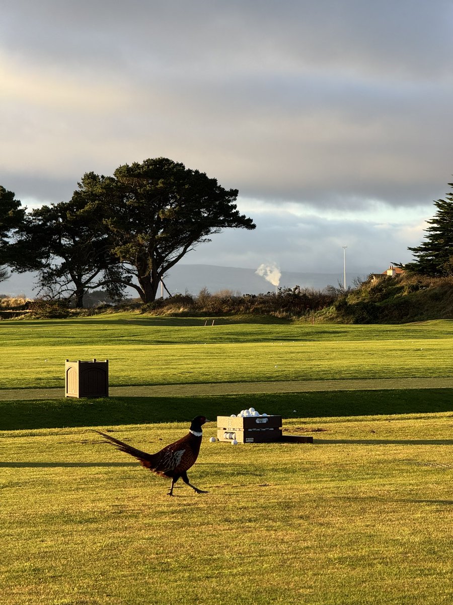 Andrew McKibbin tweet media