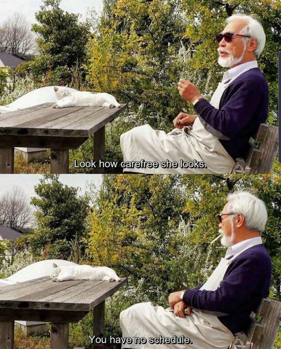 Anime Aesthetics tweet media