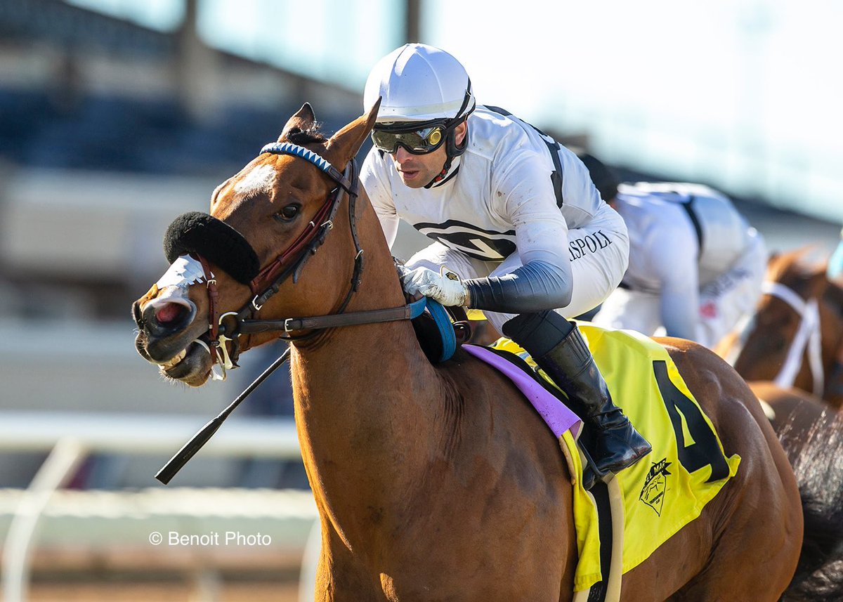 benoitphoto_'s tweet image. Irish-bred Unconquerable Keen and jockey Umberto Rispoli, to win the $100,000 Stormy Liberal Stakes  Sunday, December 1, 2024 at Del Mar Thoroughbred Club, Del Mar, CA.

View all our photos at benoitphoto.com/store/ 

© BENOIT PHOTO
