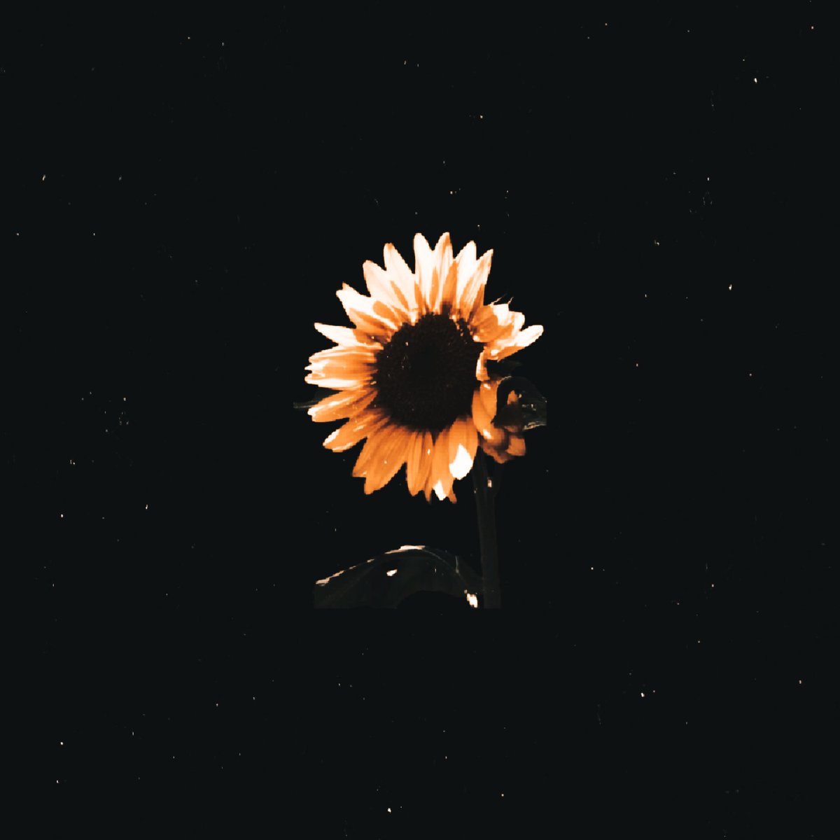 SerSunflower_'s tweet photo. "Heh, she has beauty and a sharp mind to boot. I should steel my heart indeed."

With a warm smile, he gives a courteous bow. 

"Ser Percival Solaris at your service, m'lady." https://t.co/qkDNYeLemc