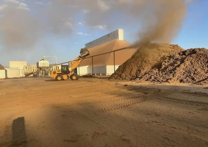 Quito_Gin's tweet photo. Quito Gin has Gin byproduct and Cottonseed Available for Cattle Feed. Located 4 miles South of Itta Bena, MS $40 per ton dry stored inside loaded on your trailer. $25 per ton stored on concrete slab outside. (It’s all dry as of 12/01/2024)
See comment for more information https://t.co/WixZnsgKcQ