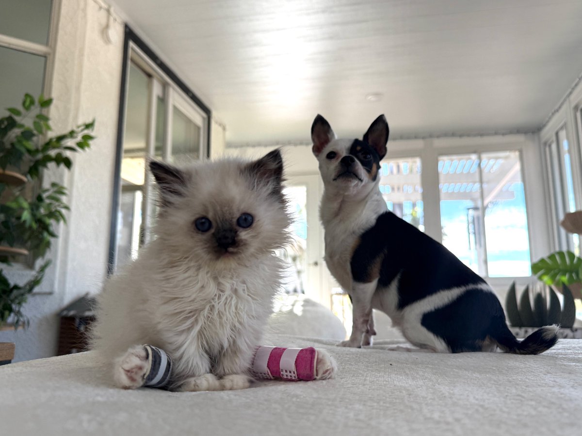 Woah, I haven’t logged into this account in 2+ years! Is anyone still here?