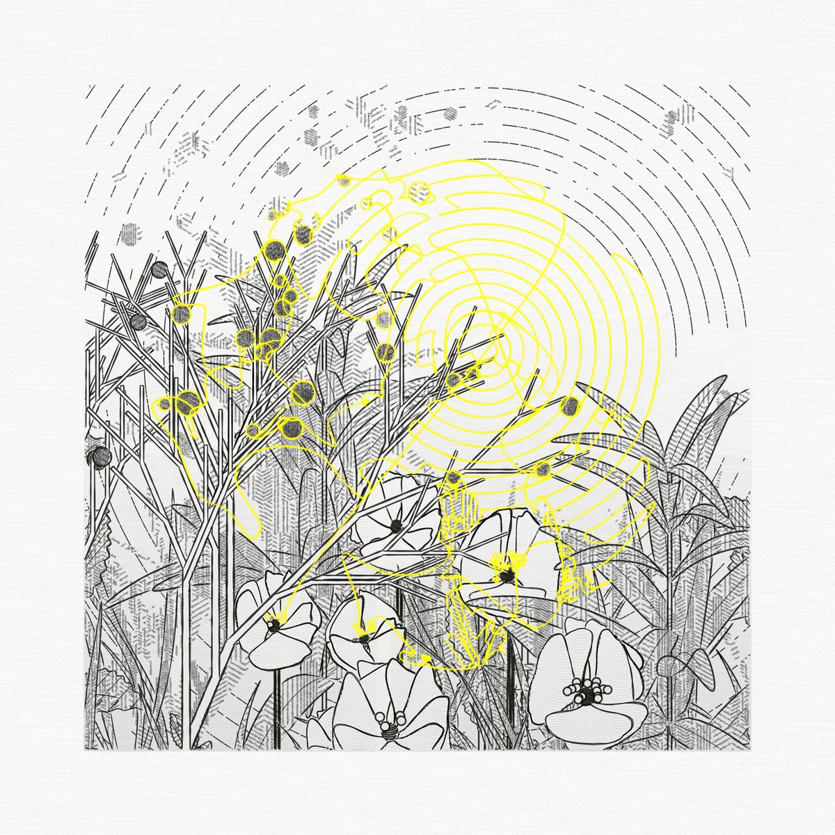 0xBrain ☀️🌱🌋 tweet media