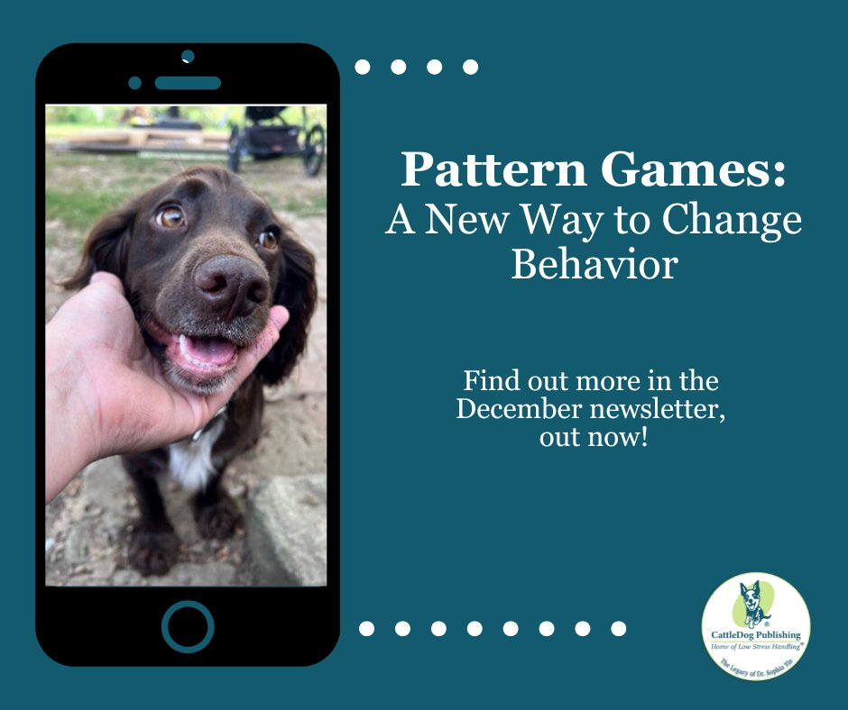 CattleDog_P's tweet image. Pattern Games help your dog process their environment, give them a set of behaviors to follow, and change their emotional response. Read more about them in the December newsletter, out now.
hubs.ly/Q02ZyJ270
#dogbehaviormodification #aggressivedogs #fearfuldogs #dogtraining