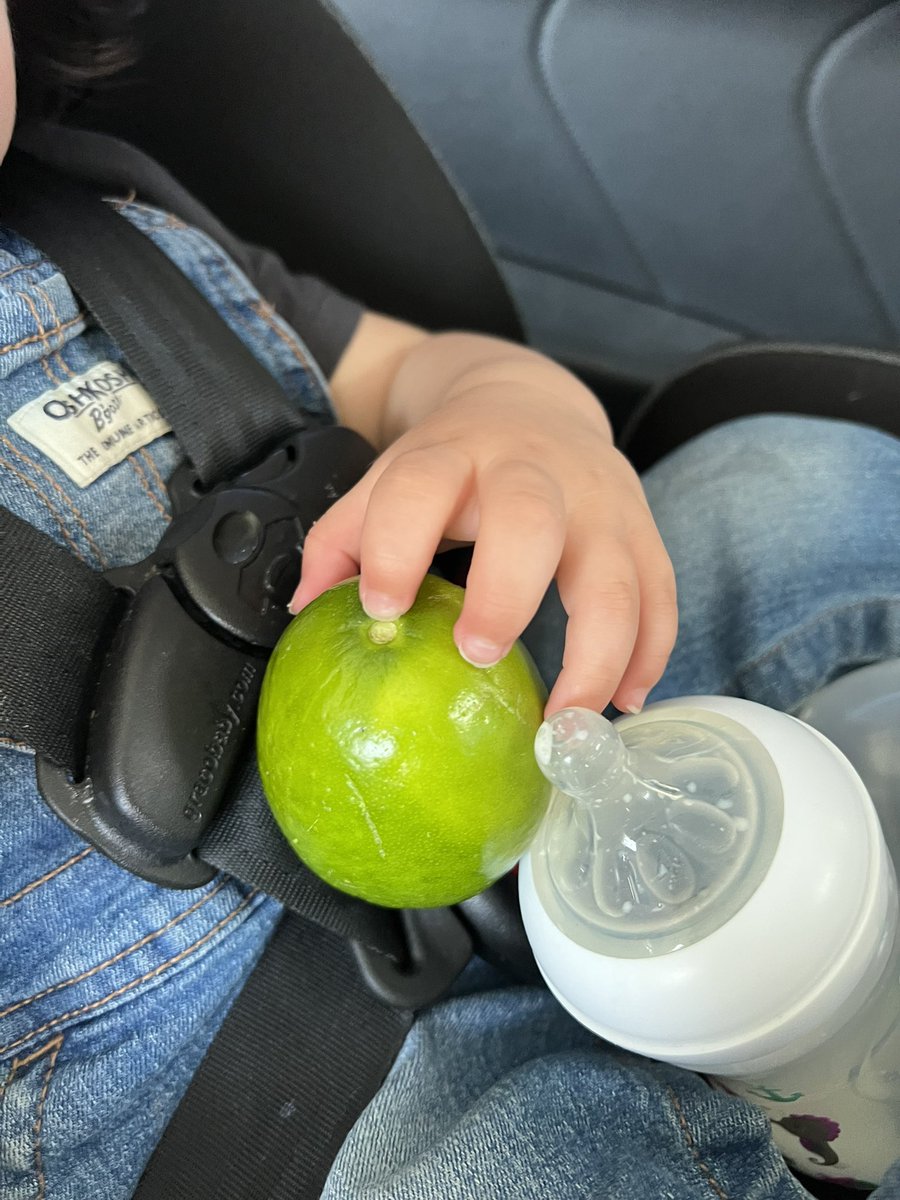 menaafb's tweet photo. Por favor que nunca se me olvide el fin de semana que Sofi cortó un limón 🍋‍🟩 del árbol y se lo quiso llevar a todos lados y enseñar a todo mundo. https://t.co/VldFNdZK2q