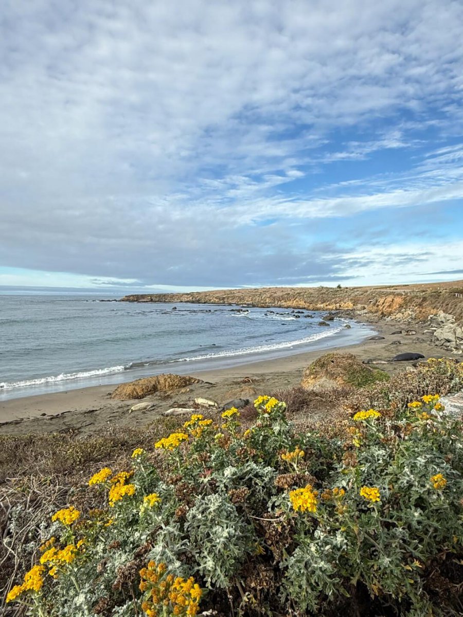 Baba086's tweet image. I think if everything is fantasy, you'll have to live with regrets in life, ⏳⏳ and you'll have to have dreams to make them a reality.🏞🏞