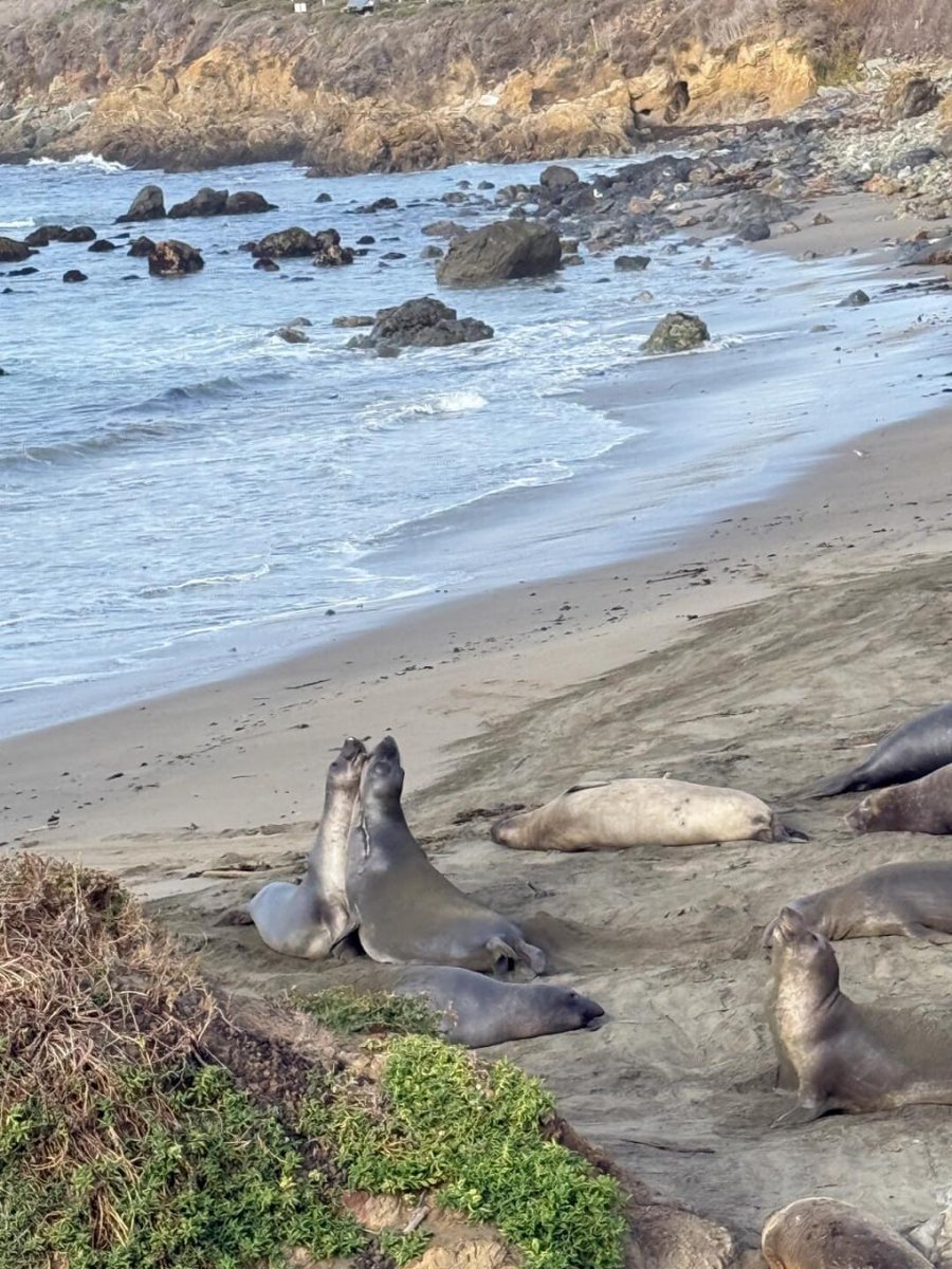 Baba086's tweet image. I think if everything is fantasy, you'll have to live with regrets in life, ⏳⏳ and you'll have to have dreams to make them a reality.🏞🏞