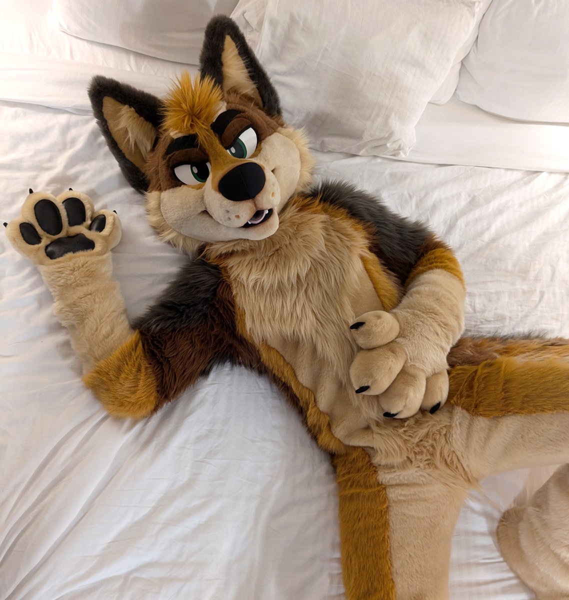 🎃Spice Wolf🐺➡️FC tweet media