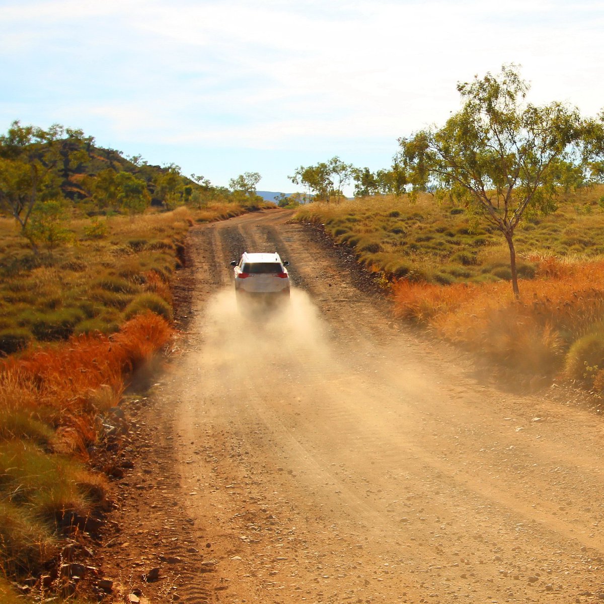 Give the gift of reliable phone coverage to someone you love this Christmas with our dual gain 4G/5G Smart Antennas. 🎁🎄

Get every last kilometre of coverage from your phone booster.

Visit zetifi.com/find-a-dealer to find your local dealer.

#ConnectionAwaits #SmartAntennas