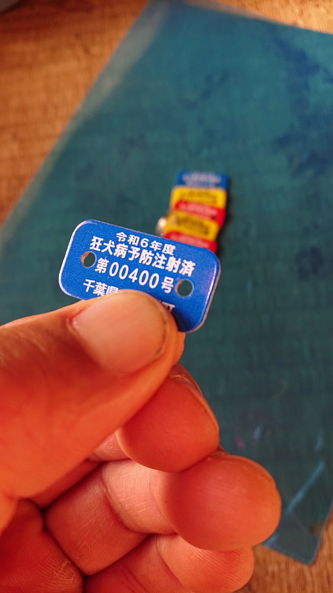 lalachibi8's tweet image. 8:15 似合わねぇなぁピンク😂😂😂😂😂今後の出かける際の必需品な♪ところで登録がH30ってことは、、、ララ子おまえは今いくつになったんだ🤔🐶