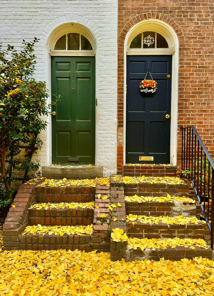 ProfDuff's tweet photo. Philadelphia covered in ginkgo leaves  12/1/24 https://t.co/q4Sf3qYUSL
