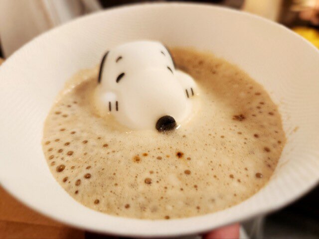 snoomfies's tweet photo. NOT AGAIN SNOOPY!! https://t.co/ApwZhedVU9