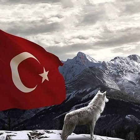 #YeniProfilResmi