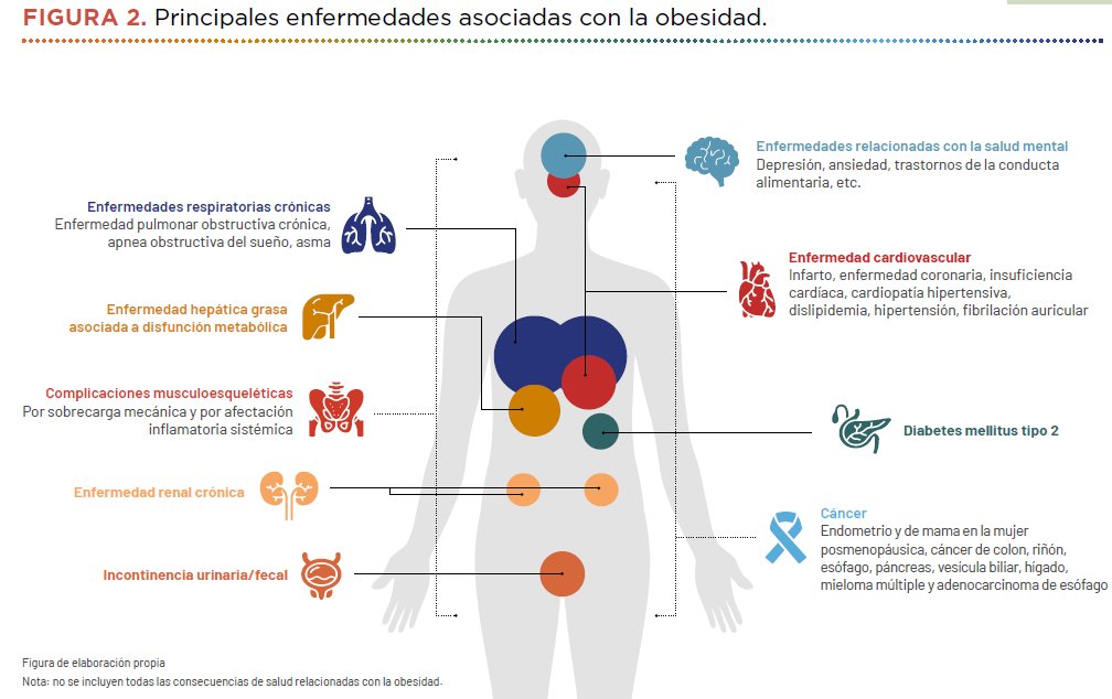 albertlecube's tweet photo. La #GuíaGIRO incluye una figura sobre las principales comorbilidades de la #obesidad. No por conocido deja de ser necesario continuar recordando su impacto. @SociedadSeedo @Sociedad_SEMI @semfyc @SEMG_ES @sociedadSEEN @SEMERGENap @SEDiabetes @mardelmala @SeparRespira #Todos https://t.co/GuphC7KnTT