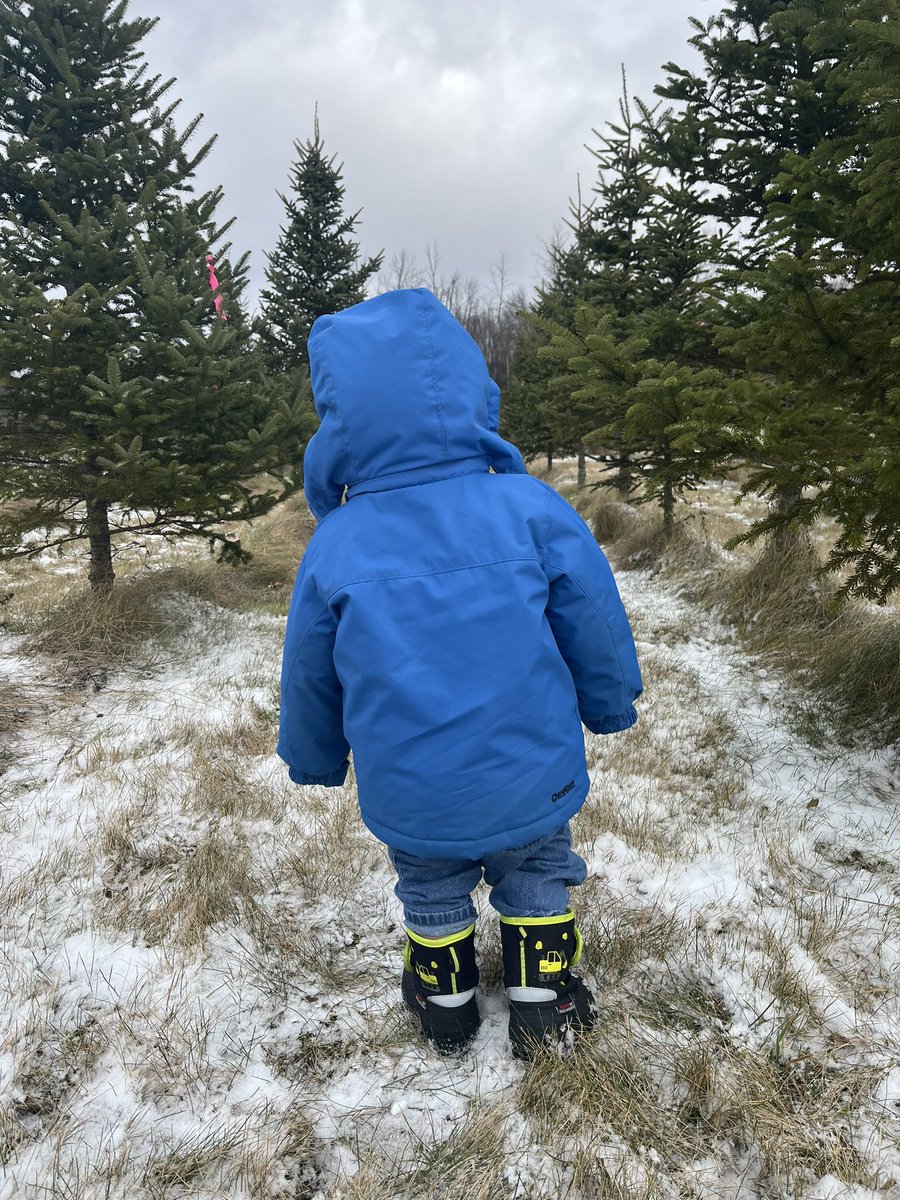 Kaitlynn Anderson tweet media