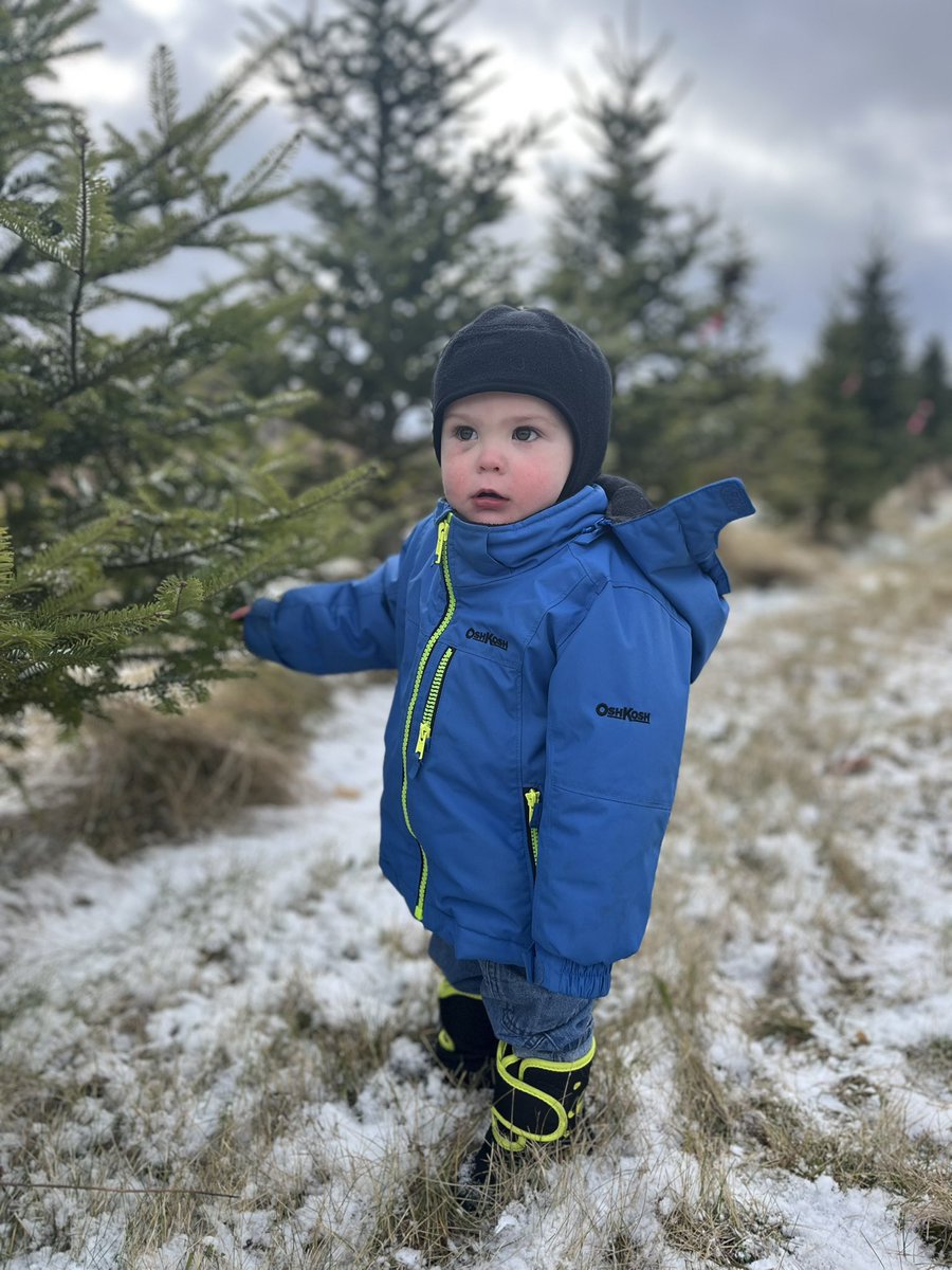 Kaitlynn Anderson tweet media