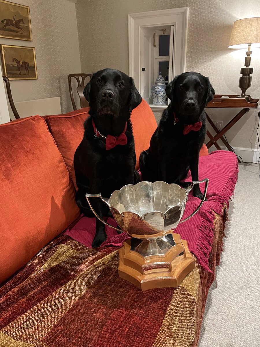 DomandLouis's tweet photo. Sadly I lost my darling brother today #Dom feeling absolutely 💔 he was so special &amp; I will miss him dearly #twoblacklabs going to @KelsoRacecourse won’t be the same without him 💔🐾🏇 https://t.co/3WVAYLi0iS