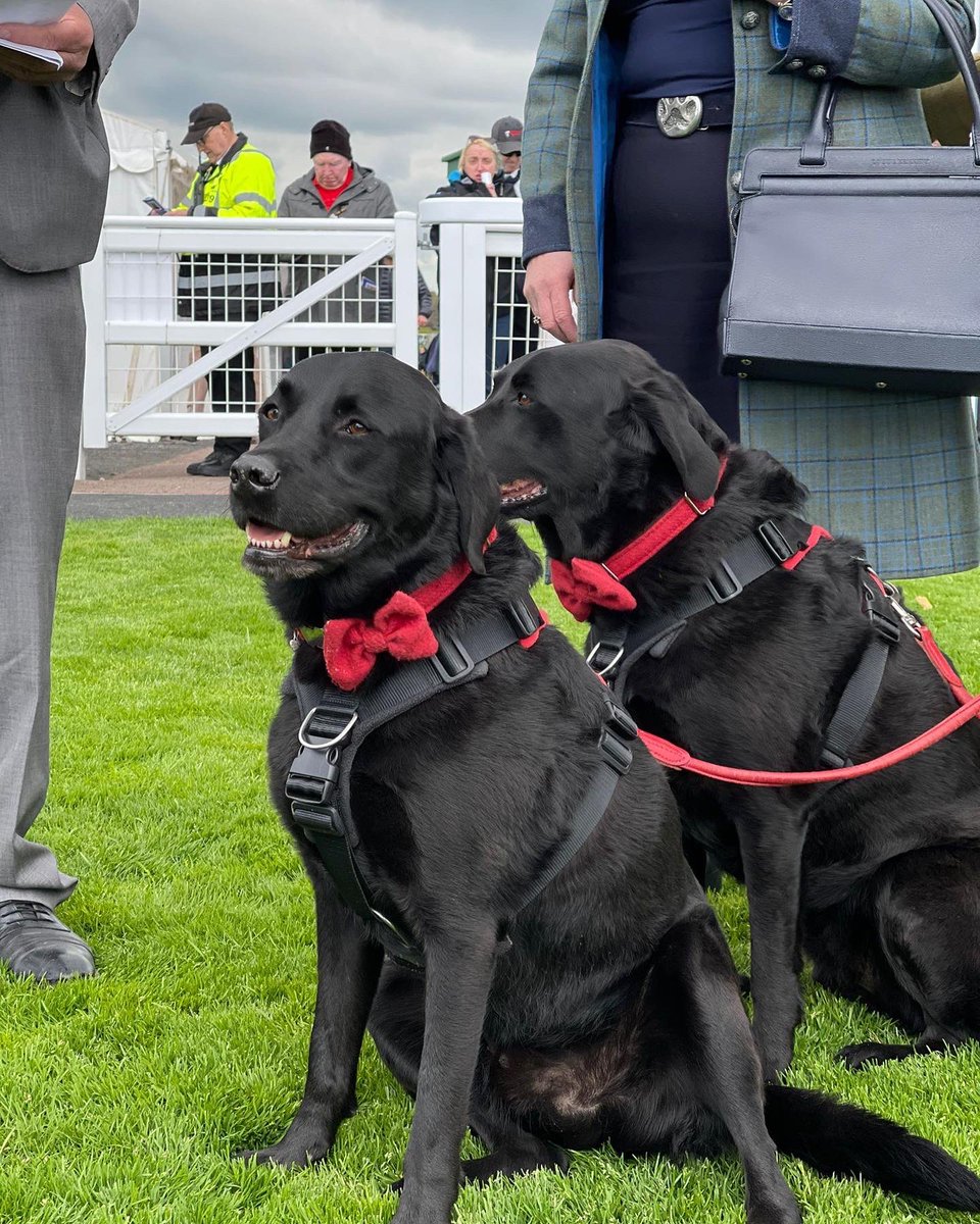 DomandLouis's tweet photo. Sadly I lost my darling brother today #Dom feeling absolutely 💔 he was so special &amp; I will miss him dearly #twoblacklabs going to @KelsoRacecourse won’t be the same without him 💔🐾🏇 https://t.co/3WVAYLi0iS
