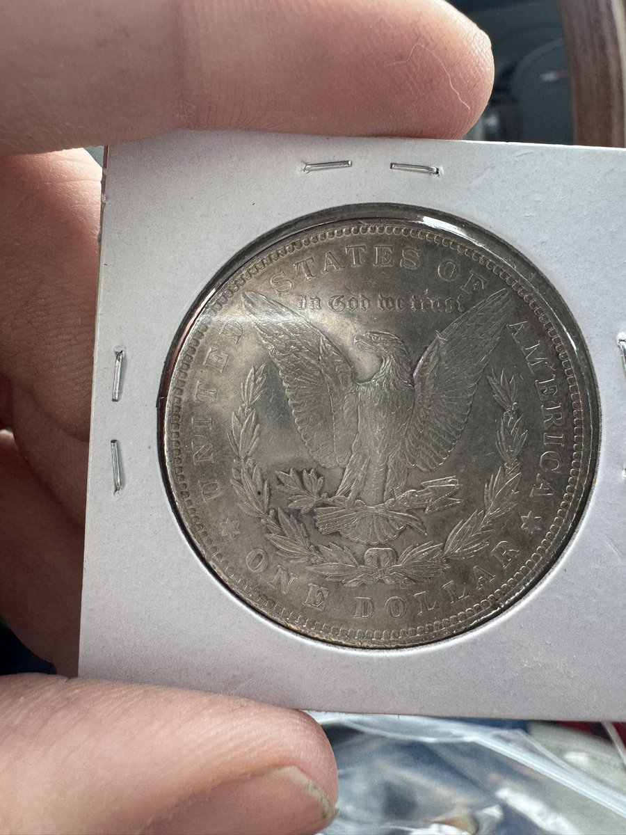 mathew_poynter's tweet image. First year Morgan Silver Dollar. #coins #coincollecting #stackingsilver