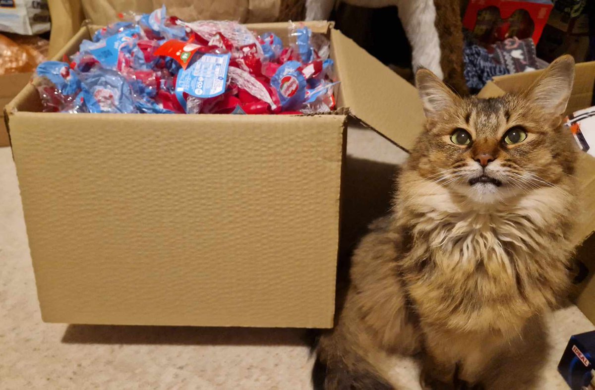 BayRecycling's tweet photo. Sunday seems like a purrfectly fine day to ship off a larger-than-cat sized box of Babybel cheese wrappers for recycling!
#Terracycle #Babybel #Recycling #Green #Lancaster #Morecambe https://t.co/AQW3jsP9Qc