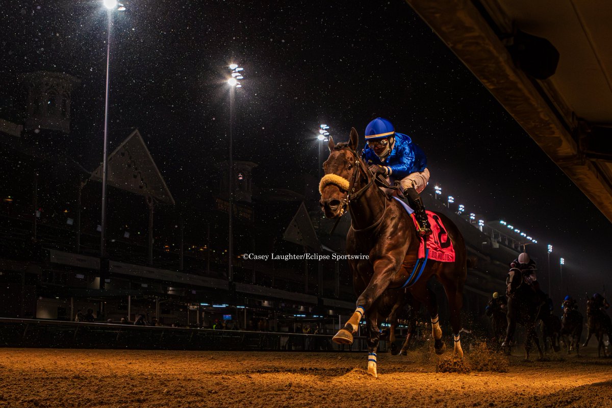 casey_laughter's tweet image. #FirstResort (#UncleMo; @coolmoreamerica) won the G2 #KentuckyJockeyClub for trainer #EoinHarty and owner @godolphin. He earned 10 points towards a start in the 2025 @KentuckyDerby.