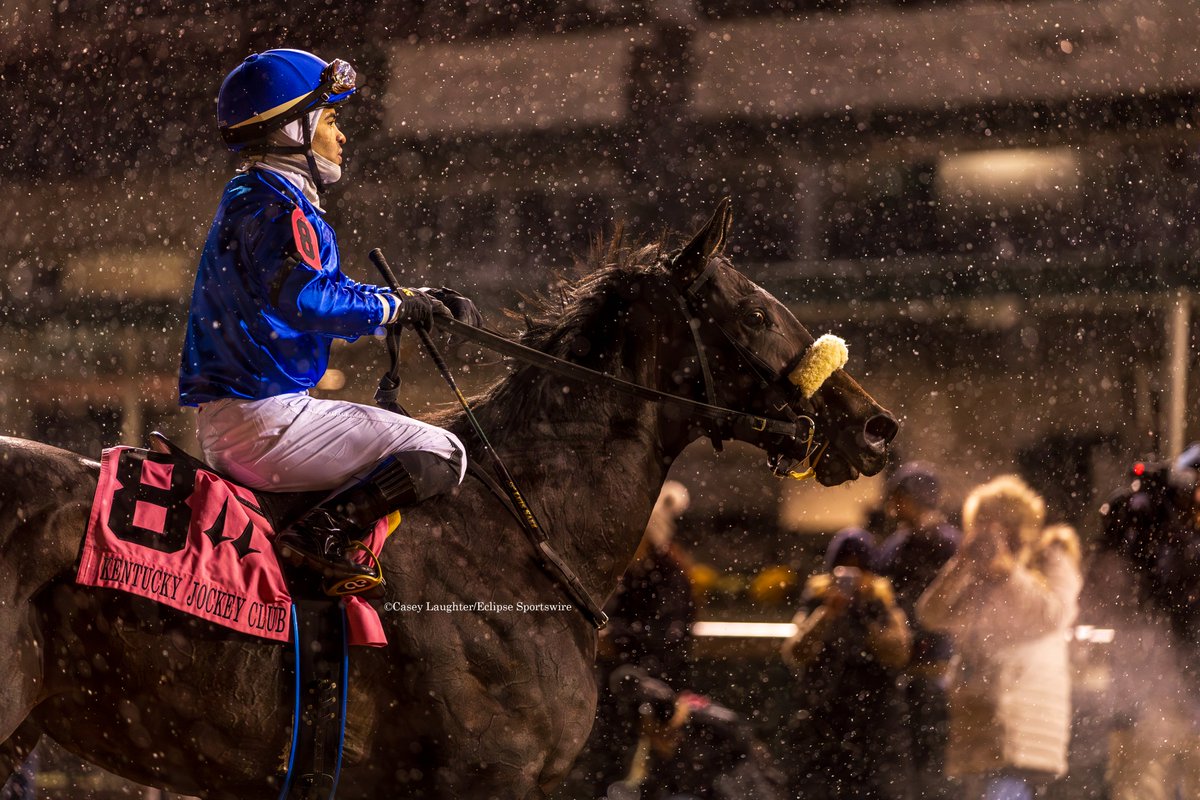 casey_laughter's tweet image. #FirstResort (#UncleMo; @coolmoreamerica) won the G2 #KentuckyJockeyClub for trainer #EoinHarty and owner @godolphin. He earned 10 points towards a start in the 2025 @KentuckyDerby.