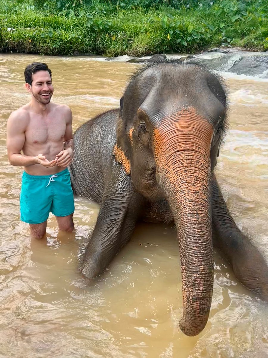 sebasveal's tweet photo. There’s no doubt I would do it all again. Thailand is such a magical land… and I got to see the floating lanterns! https://t.co/tHTq1IHQnc