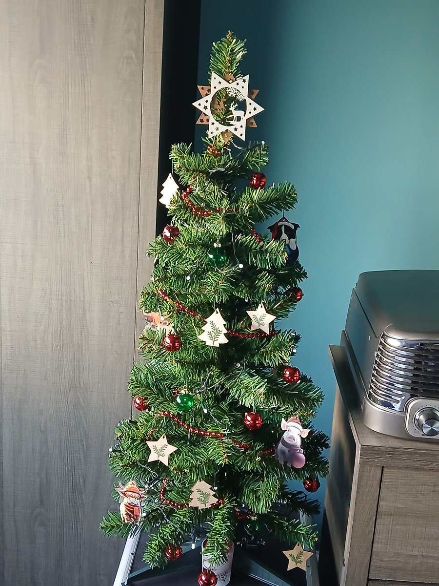 bsabinwm's tweet image. It&apos;s beginning to look a lot  like Christmas... #housedecorated #FirstSundayofAdvent