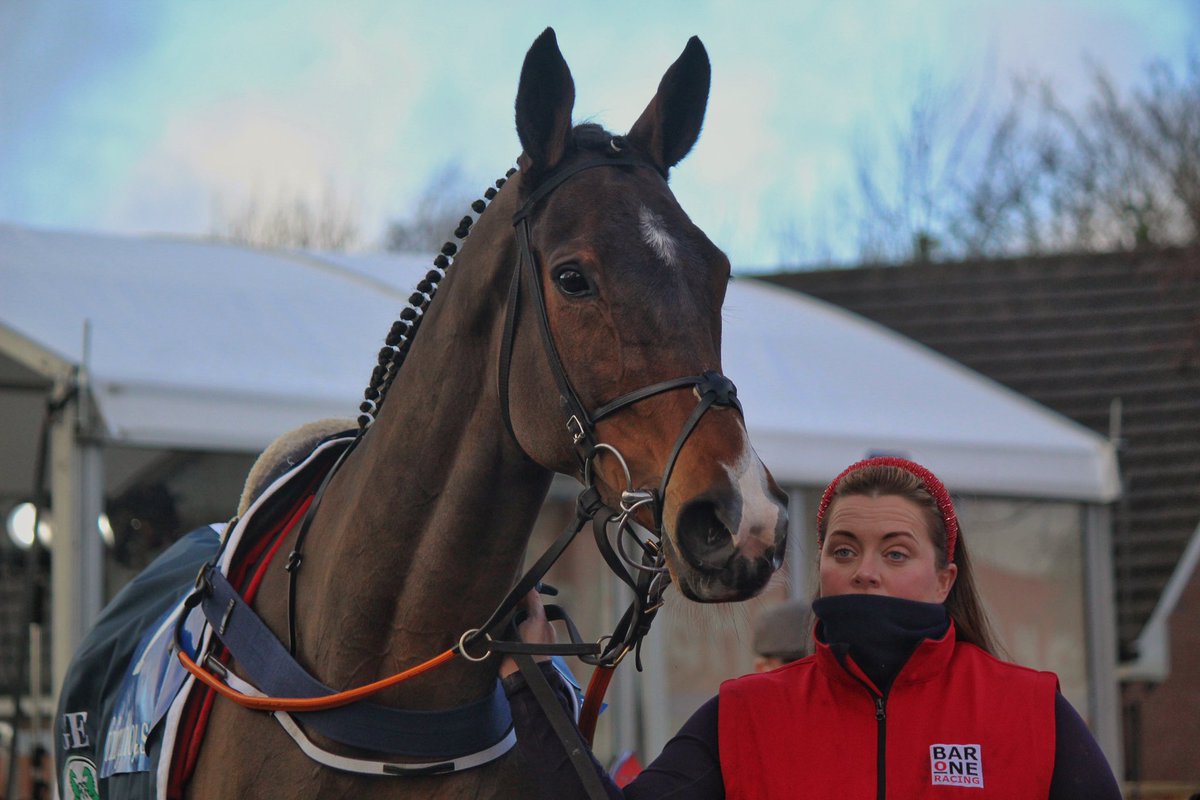 Croke Park <a href="/sam_ewing17/">sam ewing</a> <a href="/gelliott_racing/">Gordon Elliott</a> <a href="/Sineadob89/">Sinead</a>