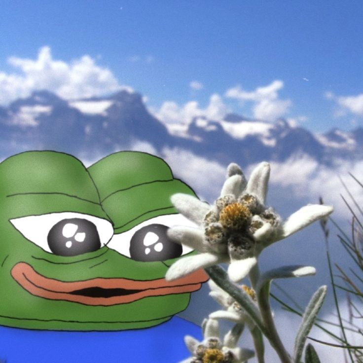 <a href="/3orovik/">borovik</a> Don't worry! Solana will flip back! Believe in Solana meme coins and buy $APU/Sol to make yourself rich 🐸 CA- ECutGg12PNhqhkvnH1s1FcuXgCDzKDNhSf5aLtANioR7
<a href="/ApuSolFrens/">Apu Apustaja SOL</a>