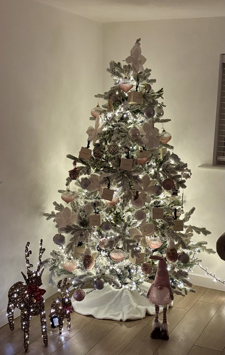 In the words of Slade “it’s Christmas”. Julie has had so much fun creating this masterpiece and so brilliant at it, proud of how she has made our home so beautifully Christmas, I needed to share……. Maybe a future vocation although very seasonal 🎄🎄🎄#expertchristmastreedresser