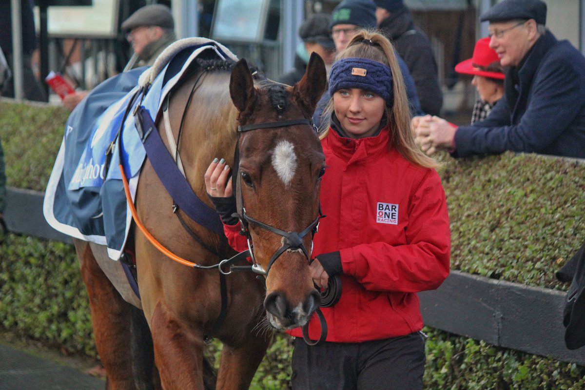 Teahupoo went down on his shield <a href="/gelliott_racing/">Gordon Elliott</a> <a href="/Robbie_Power_/">Robbie "Puppy" Power</a> <a href="/BrianAcheson/">Brian Acheson</a>
