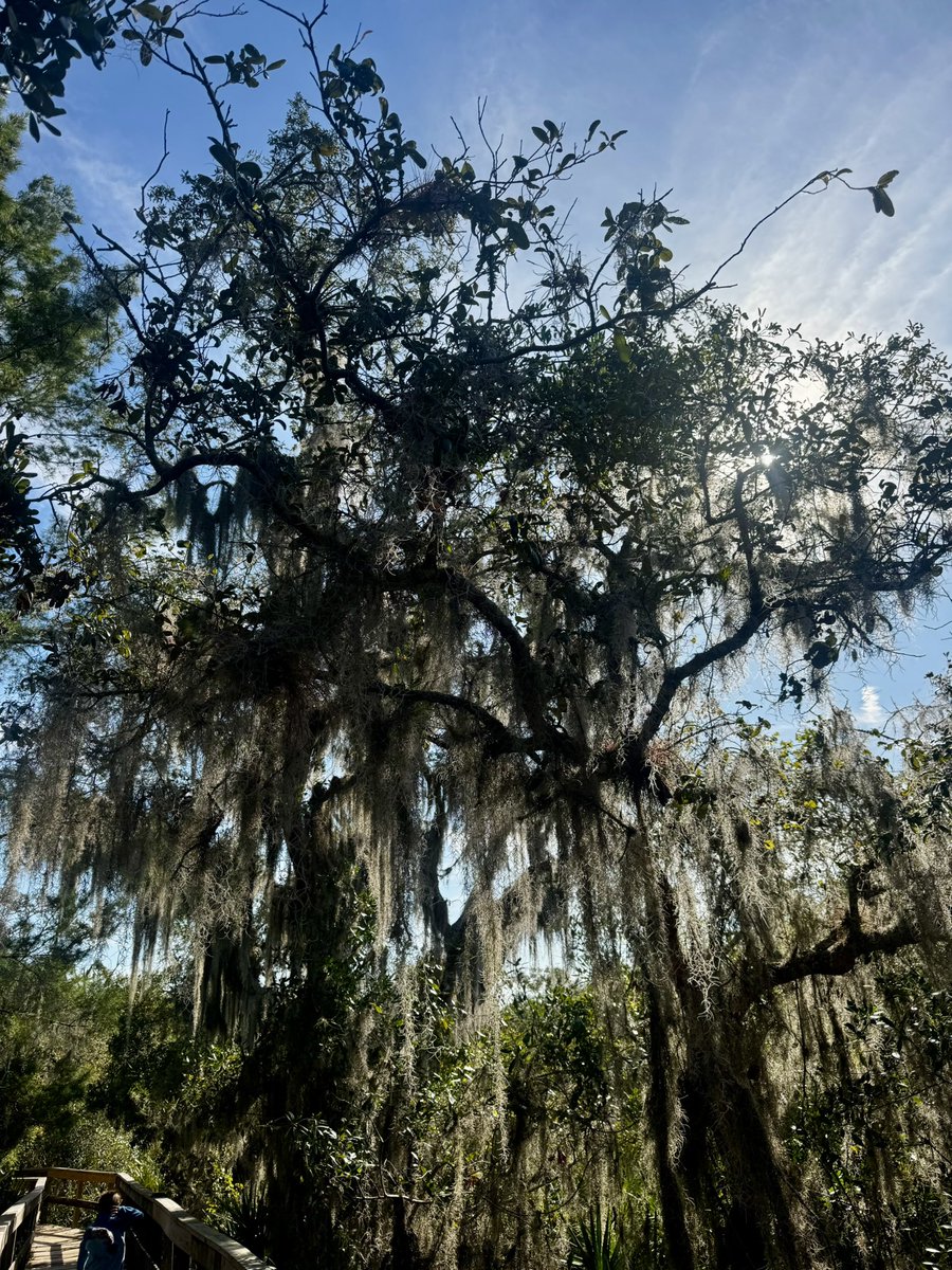 MelsMisadventures tweet media