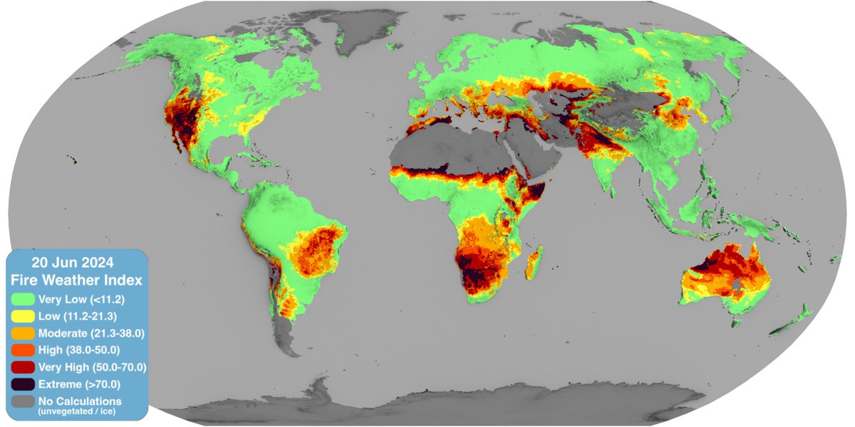 what fire risk looks like on a global scale