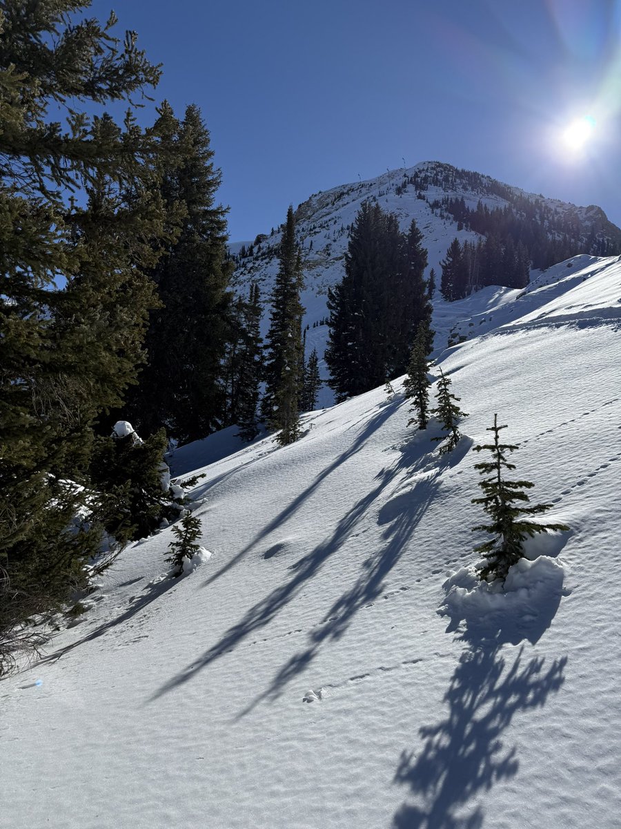 I’ve got Bad News for you at <a href="/AltaSkiArea/">Alta Ski Area</a>